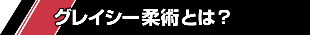 グレイシー柔術とは？