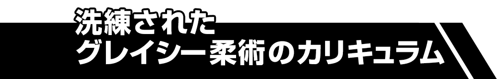 洗練されたグレイシー柔術のカリキュラム